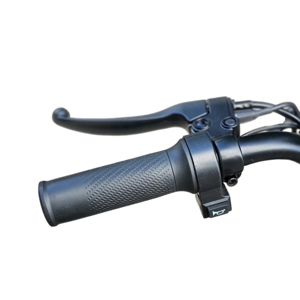 Электроскутер FUDUDU C2 голубой 12