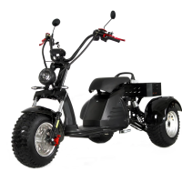 Электроскутер YASMAND M6 PRO Trike