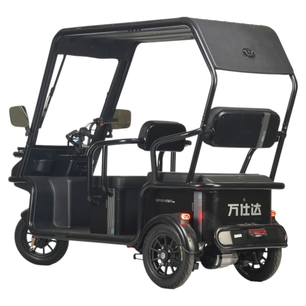 Электротрицикл Wanshida NIPLA 570 60V 1000Вт Белый 1